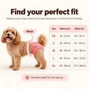 Cocoon Pets washable dog diaper dimensions and fit guide with a dog wearing a pink diaper