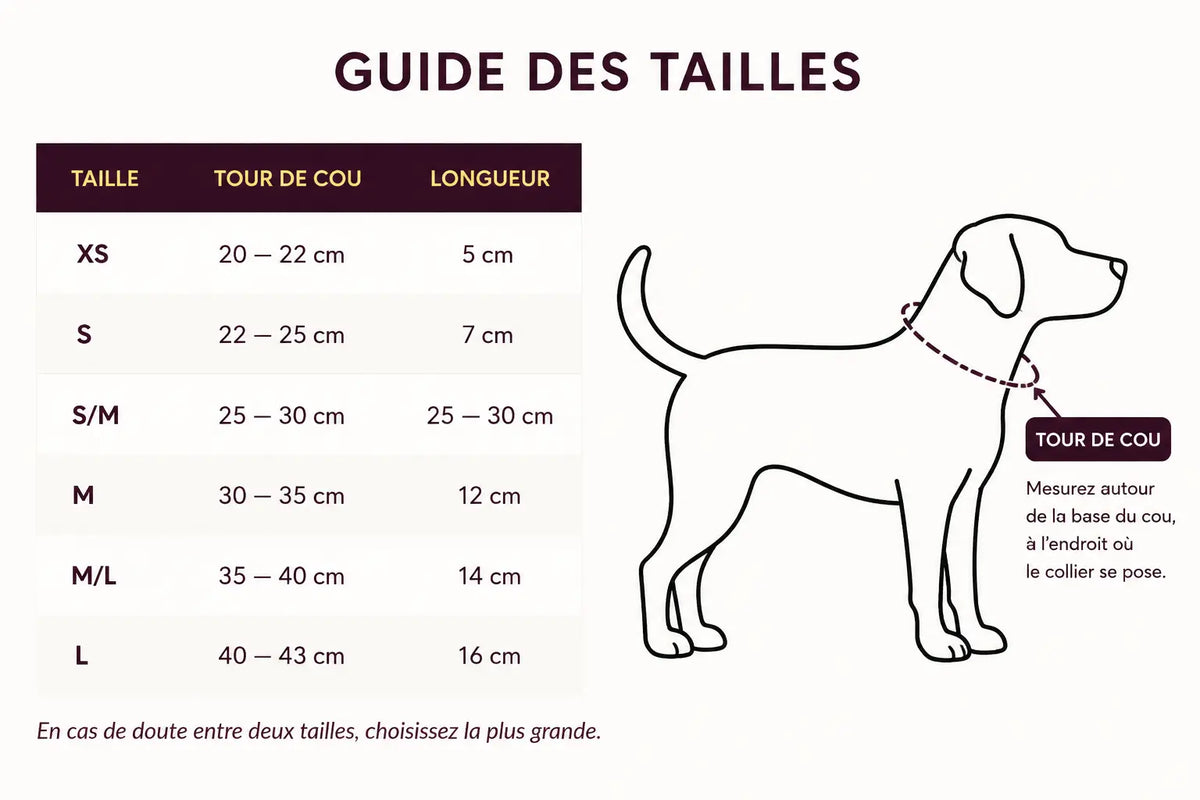 Guide des tailles des bandanas Cocoon Pets indiquant les tours de cou, les longueurs et l'emplacement où mesurer le cou du chien.