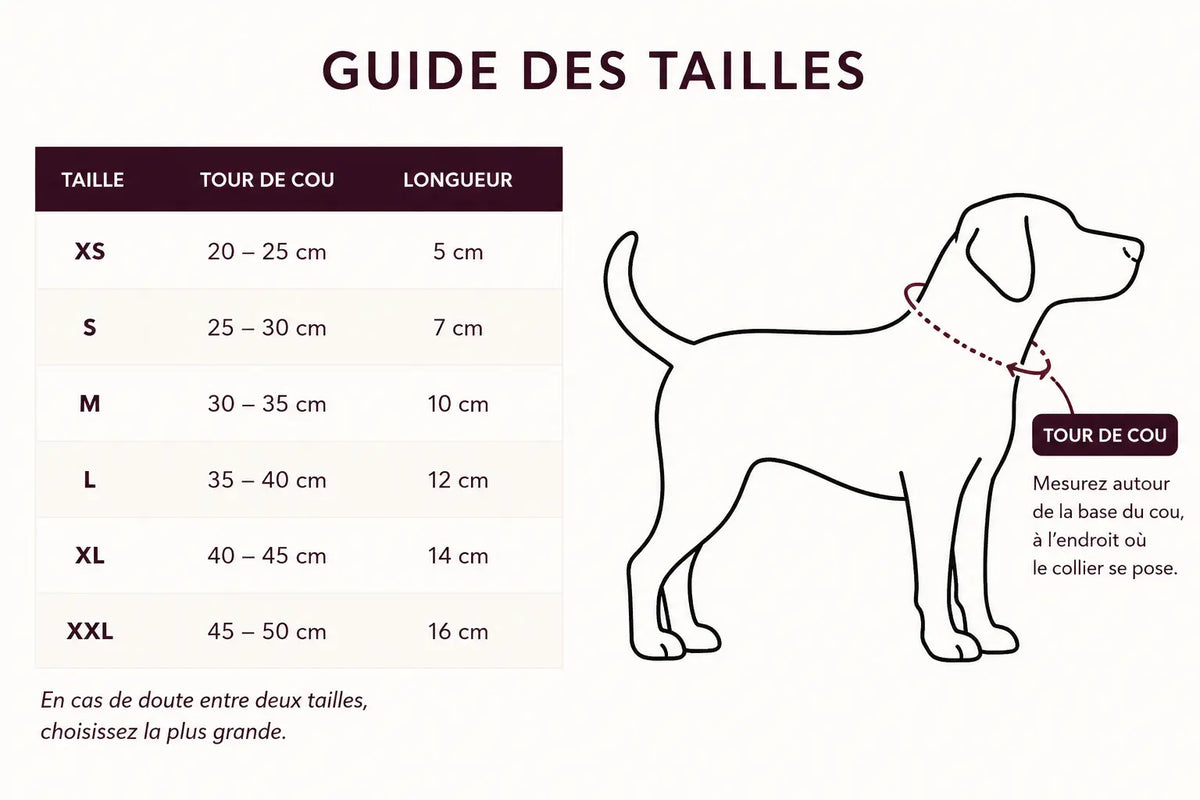 Guide des tailles des cols Claudine Cocoon Pets avec les correspondances de tour de cou, les dimensions des cols et une illustration montrant où mesurer le cou du chien.