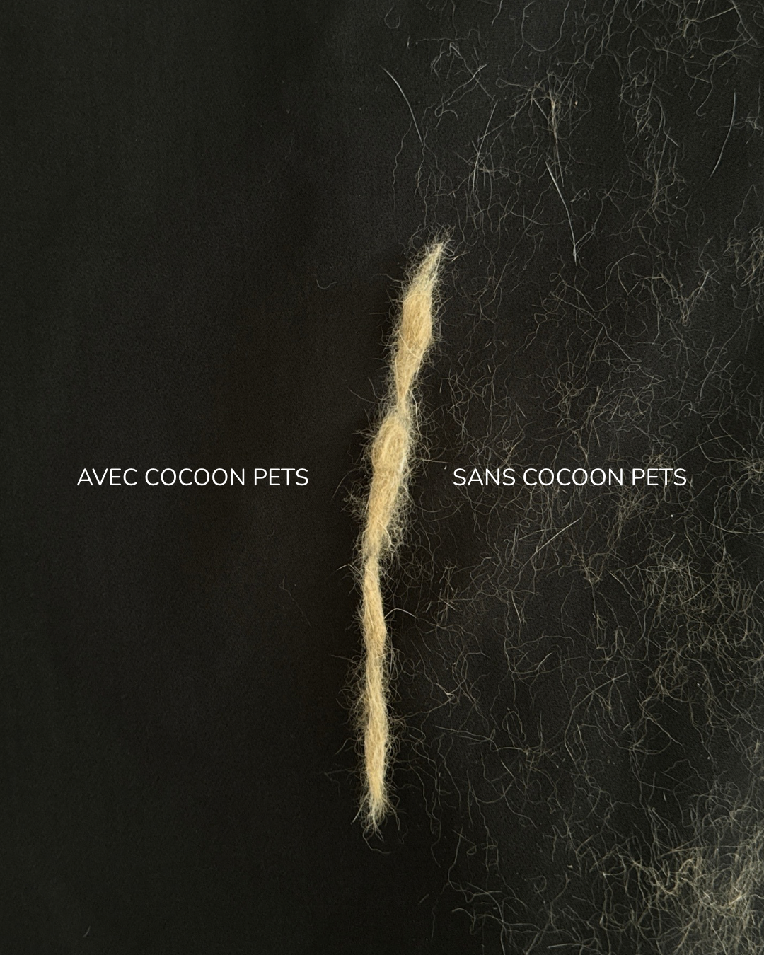 Gant noir Cocoon Pets pour enlever les poils de chat et de chien sur vêtements, canapé, tapis, voiture