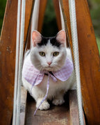 Chat blanc et noir portant un bandana vichy rose avec nœud, accessoire fait main Cocoon Pets