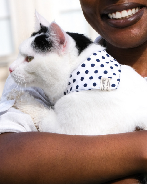 Bandana Céleste Blanc | Chien & Chat