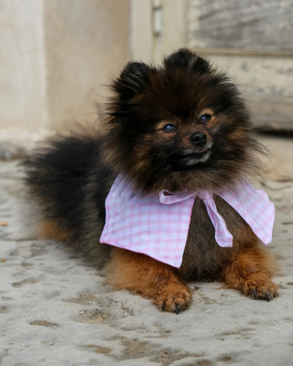 Matchy Claudine Rose