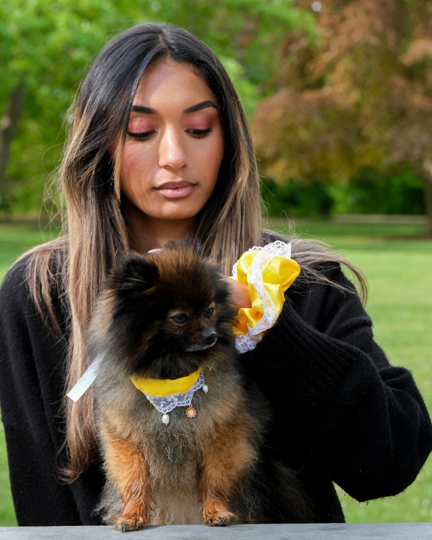 Collier Lolita à Charms | Chien & Chat