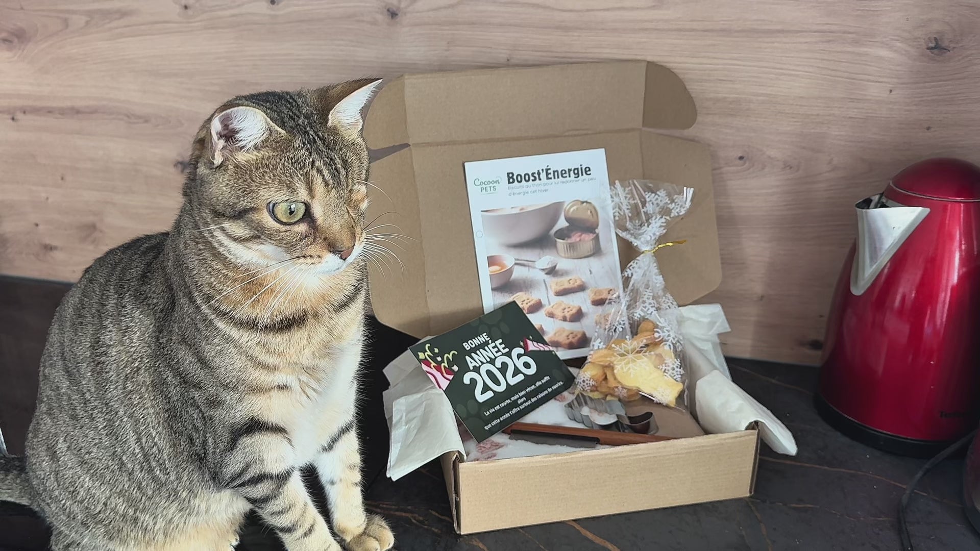 Charger la vidéo : 