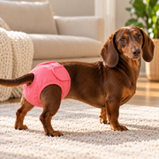 Cocoon Pets washable dog diaper - photo 2